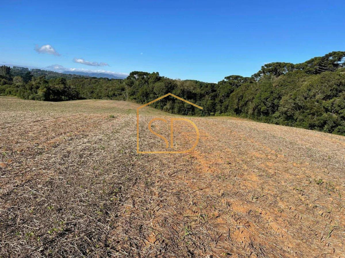 Espetacular Área Rural no Caminho do Vinho, 21.000m², à venda em São José dos Pinhais, Colônia Murici - ROBERTO D. ABADIE Consultor de Imóveis