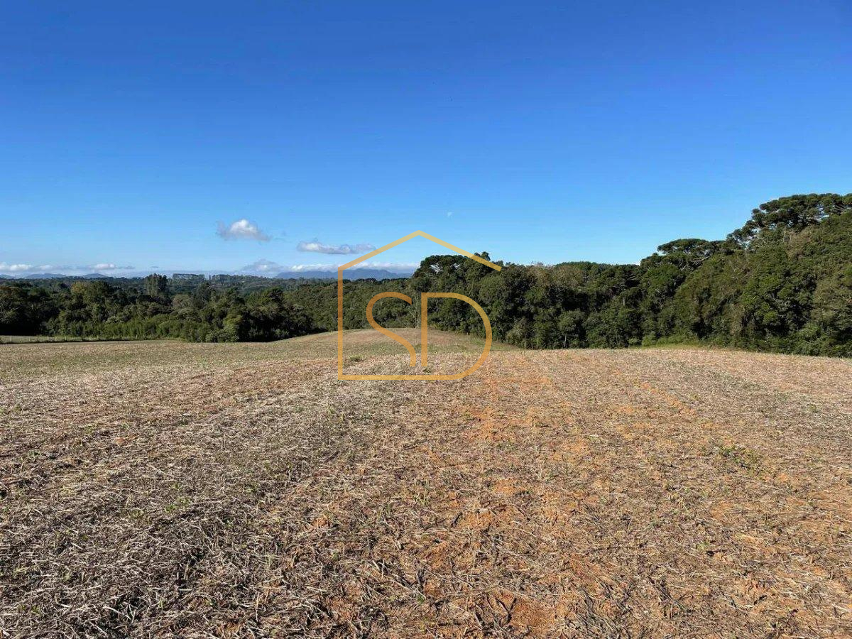Espetacular Área Rural no Caminho do Vinho, 21.000m², à venda em São José dos Pinhais, Colônia Murici - ROBERTO D. ABADIE Consultor de Imóveis
