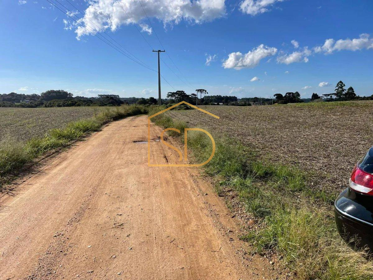 Espetacular Área Rural no Caminho do Vinho, 21.000m², à venda em São José dos Pinhais, Colônia Murici - ROBERTO D. ABADIE Consultor de Imóveis