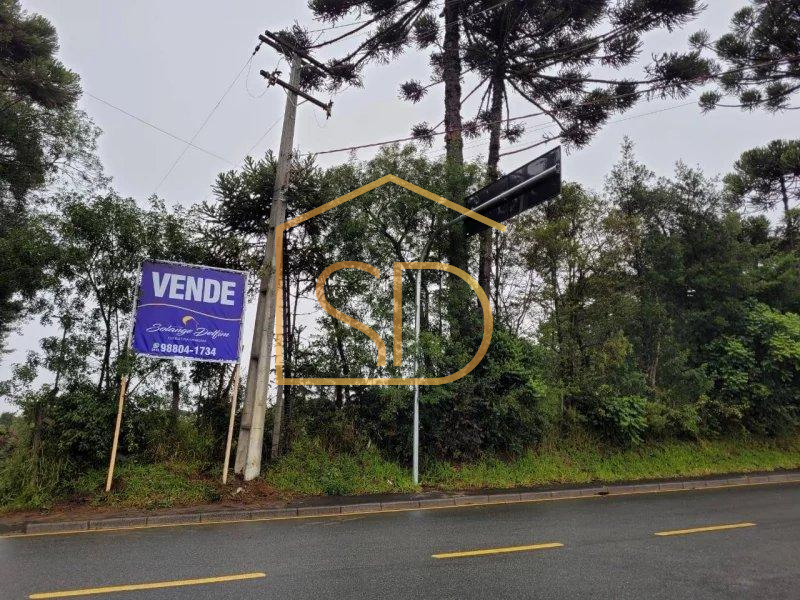 Ótimo Investimento - Área com 5 Alqueires , à venda em São José dos Pinhais, Costeira - ROBERTO D. ABADIE Consultor de Imóveis