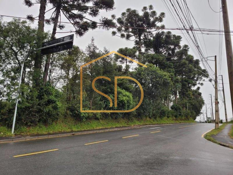 Ótimo Investimento - Área com 5 Alqueires , à venda em São José dos Pinhais, Costeira - ROBERTO D. ABADIE Consultor de Imóveis