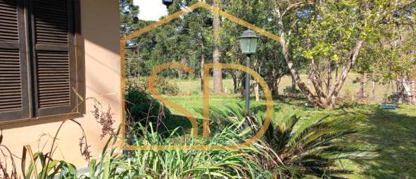 Chácara 11 Alqueires Paulista à venda em Tijucas do Sul, Ribeirão do Mel. - ROBERTO D. ABADIE Consultor de Imóveis