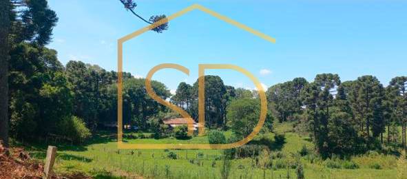 Chácara 11 Alqueires Paulista à venda em Tijucas do Sul, Ribeirão do Mel. - ROBERTO D. ABADIE Consultor de Imóveis