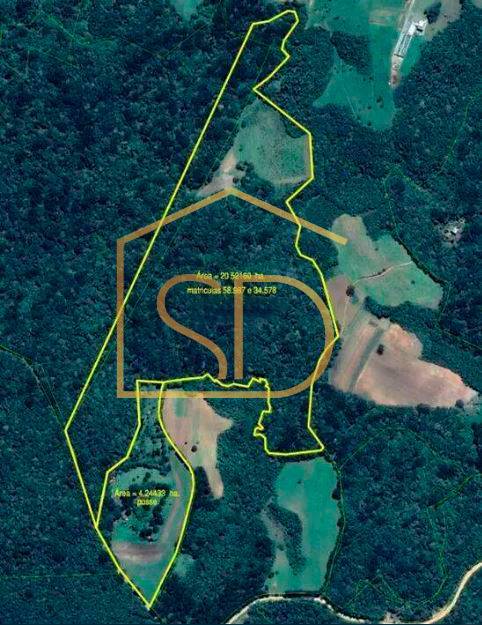 Chácara 11 Alqueires Paulista à venda em Tijucas do Sul, Ribeirão do Mel. - ROBERTO D. ABADIE Consultor de Imóveis